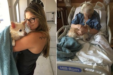 19 Adorable Animal Moments Guaranteed to Warm Your Heart