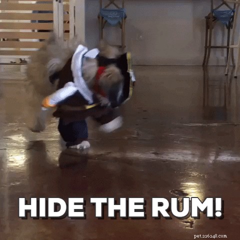 19 Delightful Ways Your Pet Dodges Everyday Responsibilities