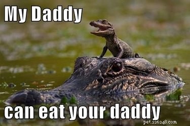 20 Remarkable Animals That Show Exceptional Dad Qualities