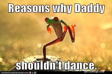 20 Remarkable Animals That Show Exceptional Dad Qualities