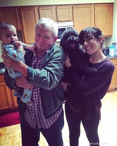 17 Pets Who Struggle With Adulting Today