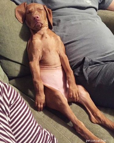 21 Incredible Animals That Sit Like Humans