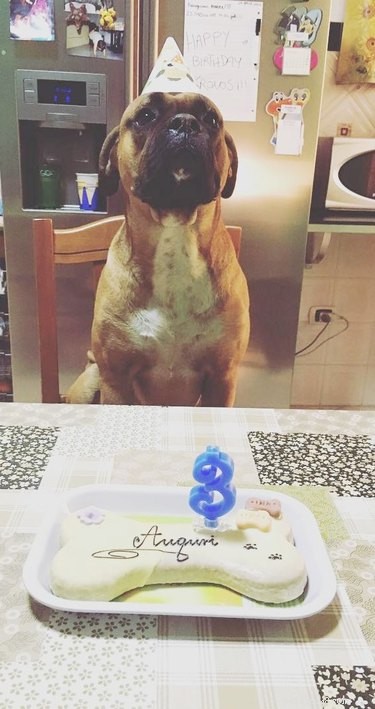 21 Incredible Animals That Sit Like Humans