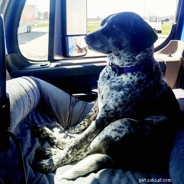 21 Incredible Animals That Sit Like Humans