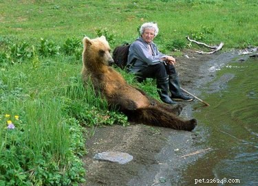 21 Incredible Animals That Sit Like Humans