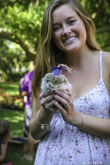 Eckerd College Honors 24 Pets Graduating in Caps and Gowns