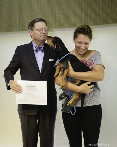 Eckerd College Honors 24 Pets Graduating in Caps and Gowns