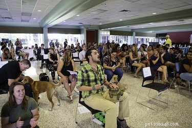 Eckerd College Honors 24 Pets Graduating in Caps and Gowns
