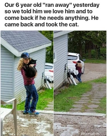 16 Hilarious Pet Photos That Will Melt Your Heart