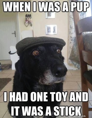 16 Hilarious Pet Photos That Will Melt Your Heart