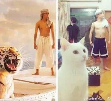 22 Adorable Pet Photos That’ll Make Your Best Friend Smile