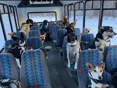 22 Adorable Pet Photos That’ll Make Your Best Friend Smile