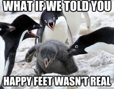 Why Penguins Are the Planet’s Funniest Animals: 24 Hilarious Memes
