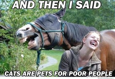 25 Hilarious Horse Memes Every Equine Enthusiast Will Love
