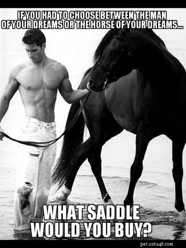 25 Hilarious Horse Memes Every Equine Enthusiast Will Love