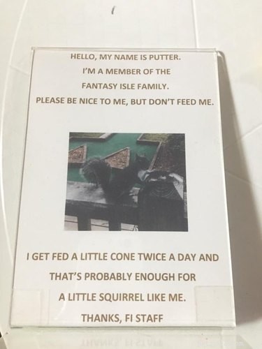 Cute Squirrel Putter Dines on Mini Ice Cream Cones at Fantasy Isle Ice Cream & Mini Golf