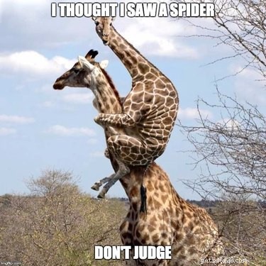 What Seeing a Spider Reveals About You: 23 Animal-Like Reactions