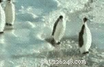 20 Hilarious Animal Moments That Will Leave You in Stitches