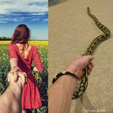 22 Irresistible Reptile Photos Every Pet Lover Will Adore