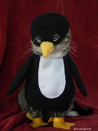 21 Hilarious Animals Wearing Costumes of Other Species