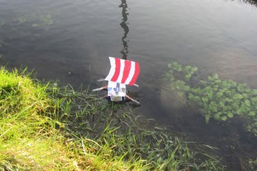 Classroom Goldfish Receives Viking-Style Farewell in Scottish Elementary School