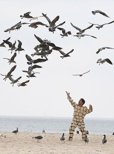 Unveiling the Surprising Stories Behind Viral Animal Photos