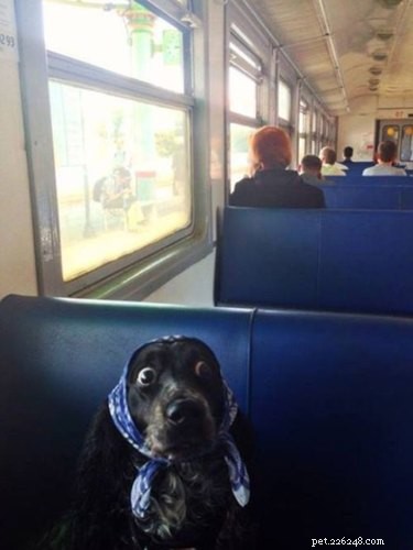 Unveiling the Surprising Stories Behind Viral Animal Photos