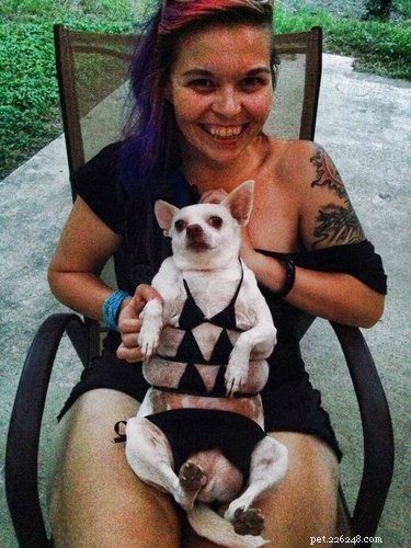 Unveiling the Surprising Stories Behind Viral Animal Photos