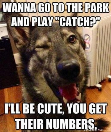 13 Online Pets That Inspire and Support You—Even Without a Furry Friend