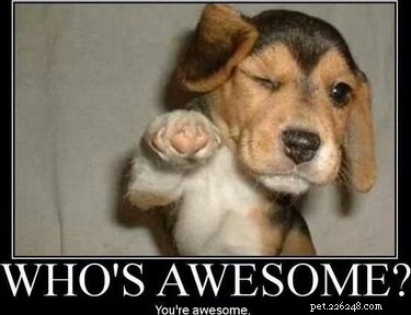 13 Online Pets That Inspire and Support You—Even Without a Furry Friend