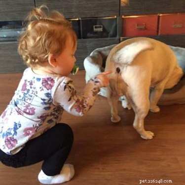 Toddler s Playful Discovery Highlights Science s Messy Side