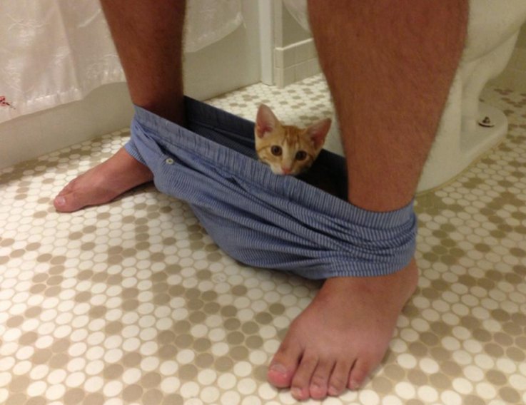 17 Pets Who Are Totally Done With Life
