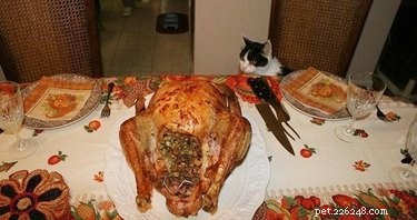 14 Animals That Show Why Holiday Homecomings Can Be Stressful