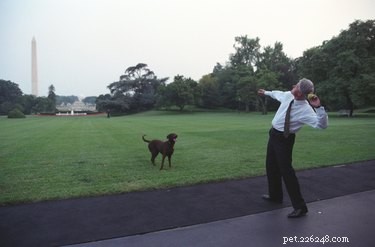 12 Fascinating Presidential Pets That Captured America