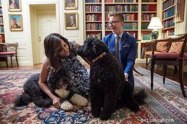 12 Fascinating Presidential Pets That Captured America
