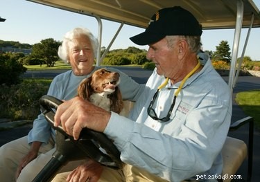 12 Fascinating Presidential Pets That Captured America