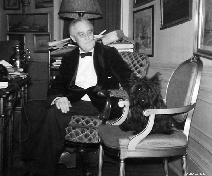 12 Fascinating Presidential Pets That Captured America