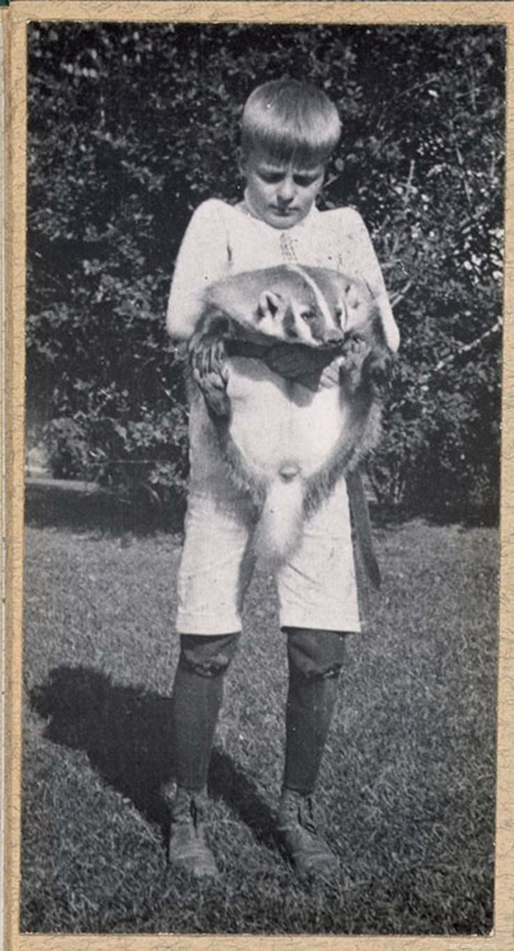 12 Fascinating Presidential Pets That Captured America