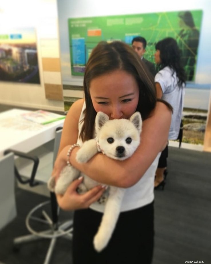 15 Real Animals That Look Like Plush Toys