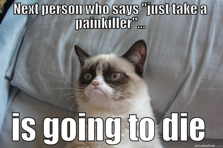Animal Memes That Humorously Capture PMS Experiences