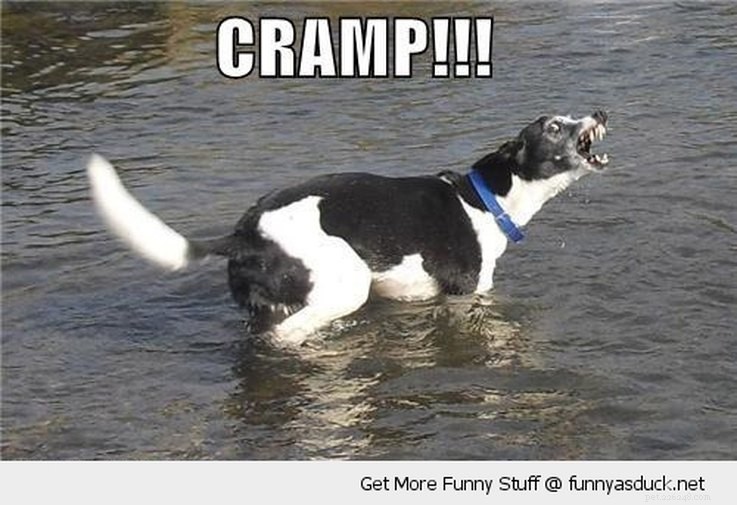 Animal Memes That Humorously Capture PMS Experiences