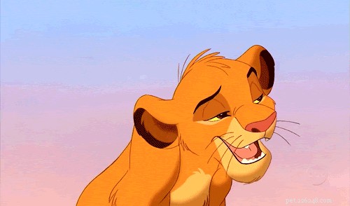 28 Fascinating Disney Animal Facts You Probably Didn t Know