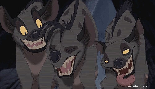 28 Fascinating Disney Animal Facts You Probably Didn t Know