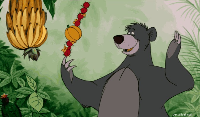 28 Fascinating Disney Animal Facts You Probably Didn t Know