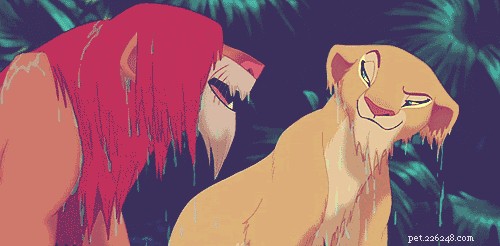 28 Fascinating Disney Animal Facts You Probably Didn t Know