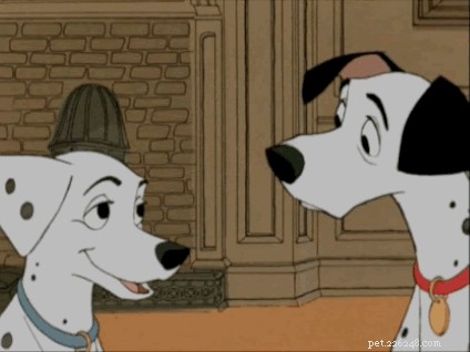 28 Fascinating Disney Animal Facts You Probably Didn t Know