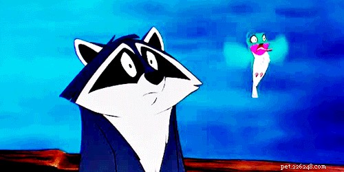 28 Fascinating Disney Animal Facts You Probably Didn t Know