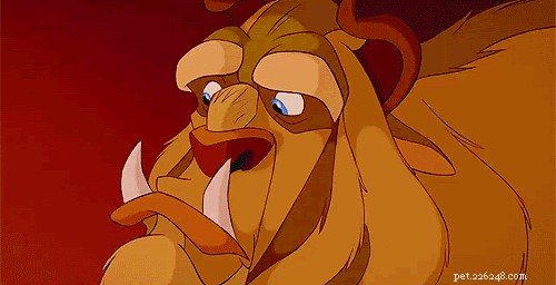 28 Fascinating Disney Animal Facts You Probably Didn t Know