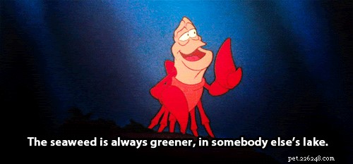 28 Fascinating Disney Animal Facts You Probably Didn t Know