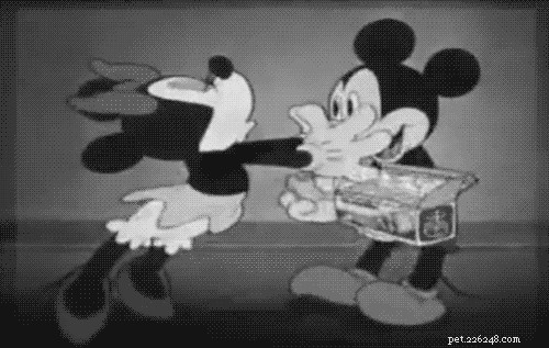 28 Fascinating Disney Animal Facts You Probably Didn t Know